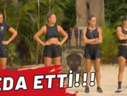 Survivor All Star
