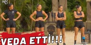 Survivor All Star